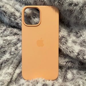 Apple iPhone 12 Pro Max case